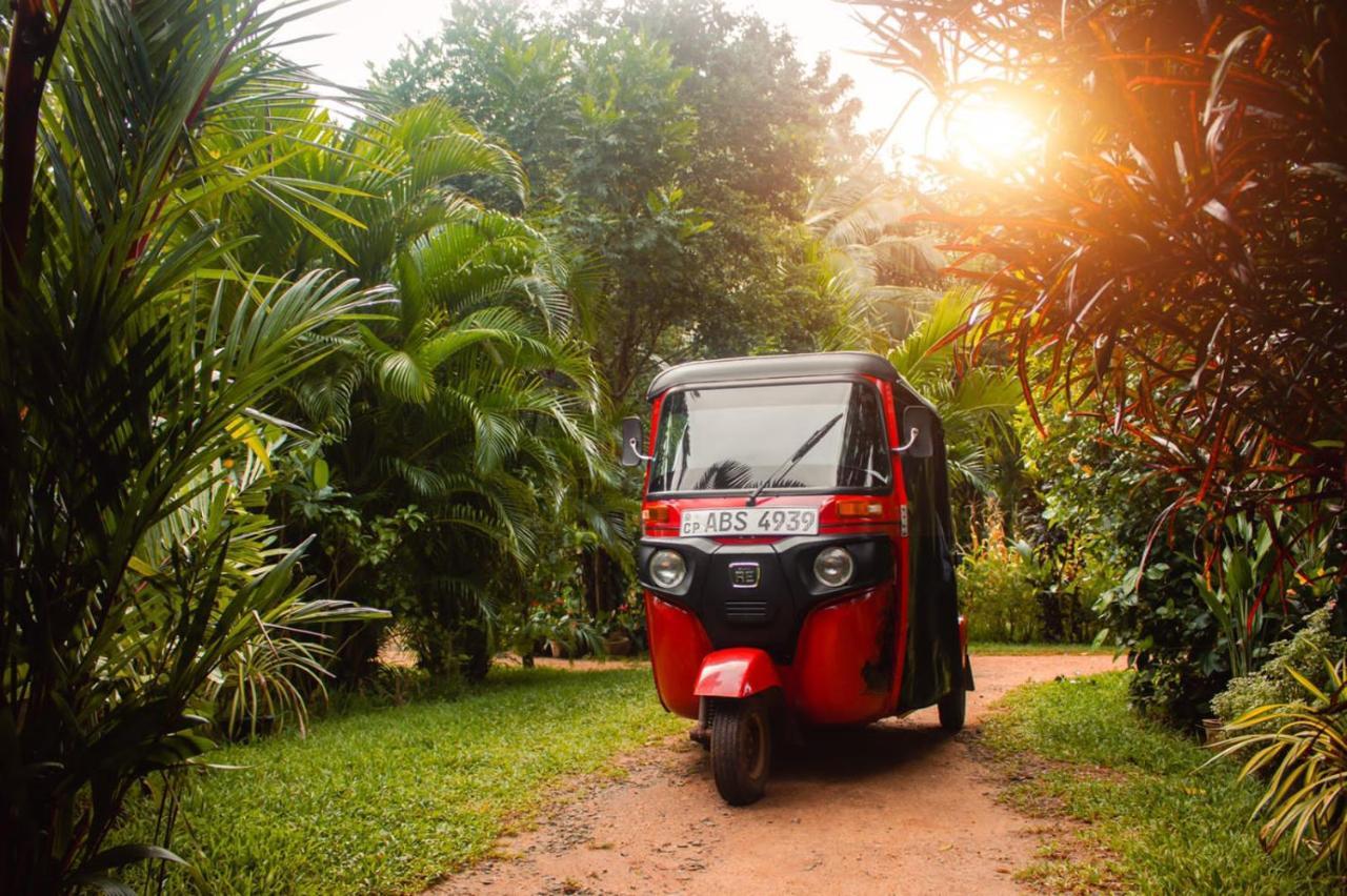 Sigiri Sandilu Homestay Sigiriya Bagian luar foto