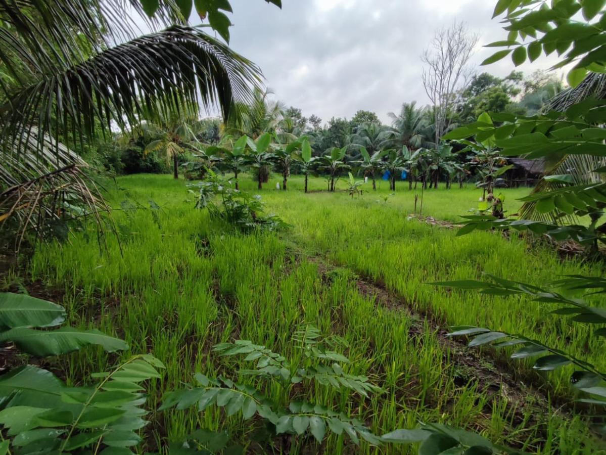 Sigiri Sandilu Homestay Sigiriya Bagian luar foto