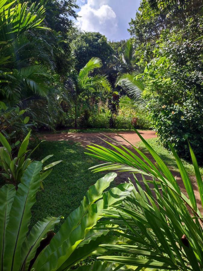 Sigiri Sandilu Homestay Sigiriya Bagian luar foto