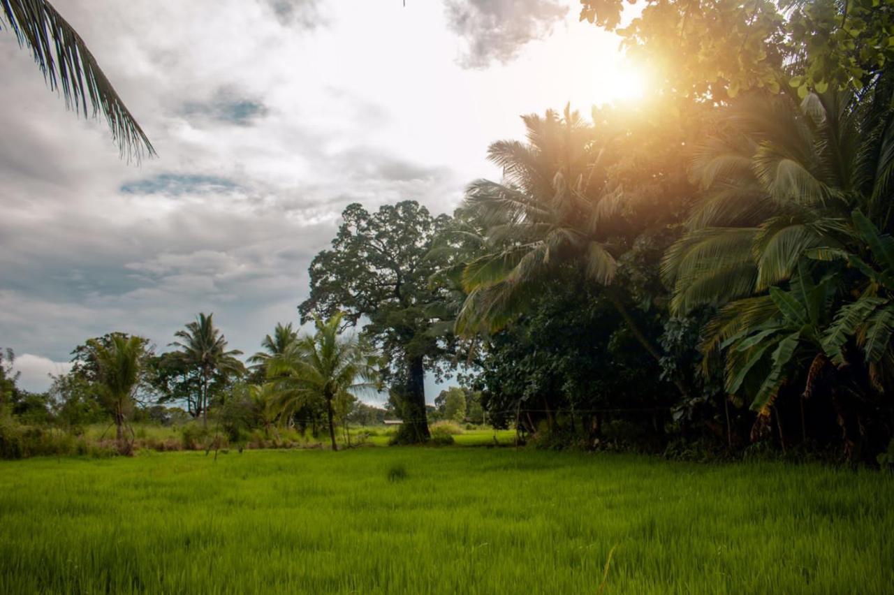 Sigiri Sandilu Homestay Sigiriya Bagian luar foto