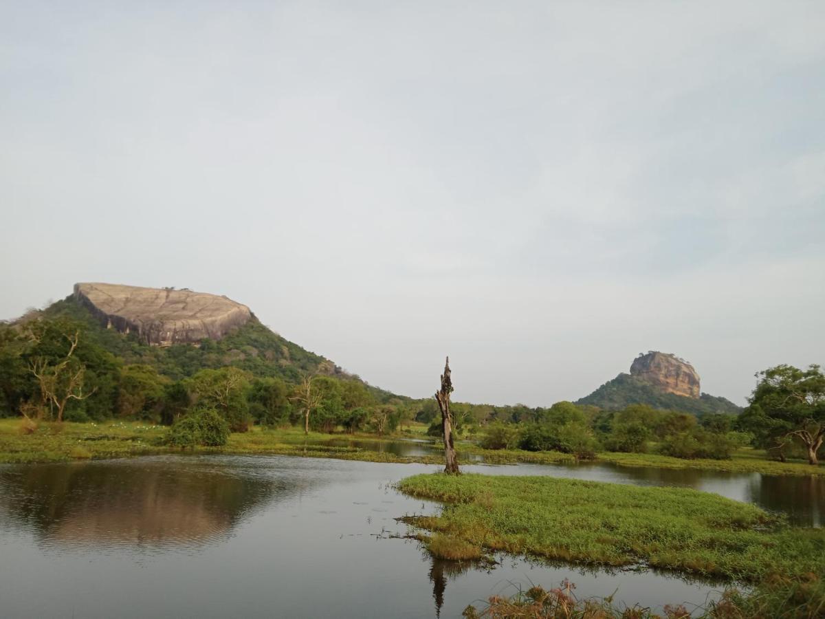 Sigiri Sandilu Homestay Sigiriya Bagian luar foto