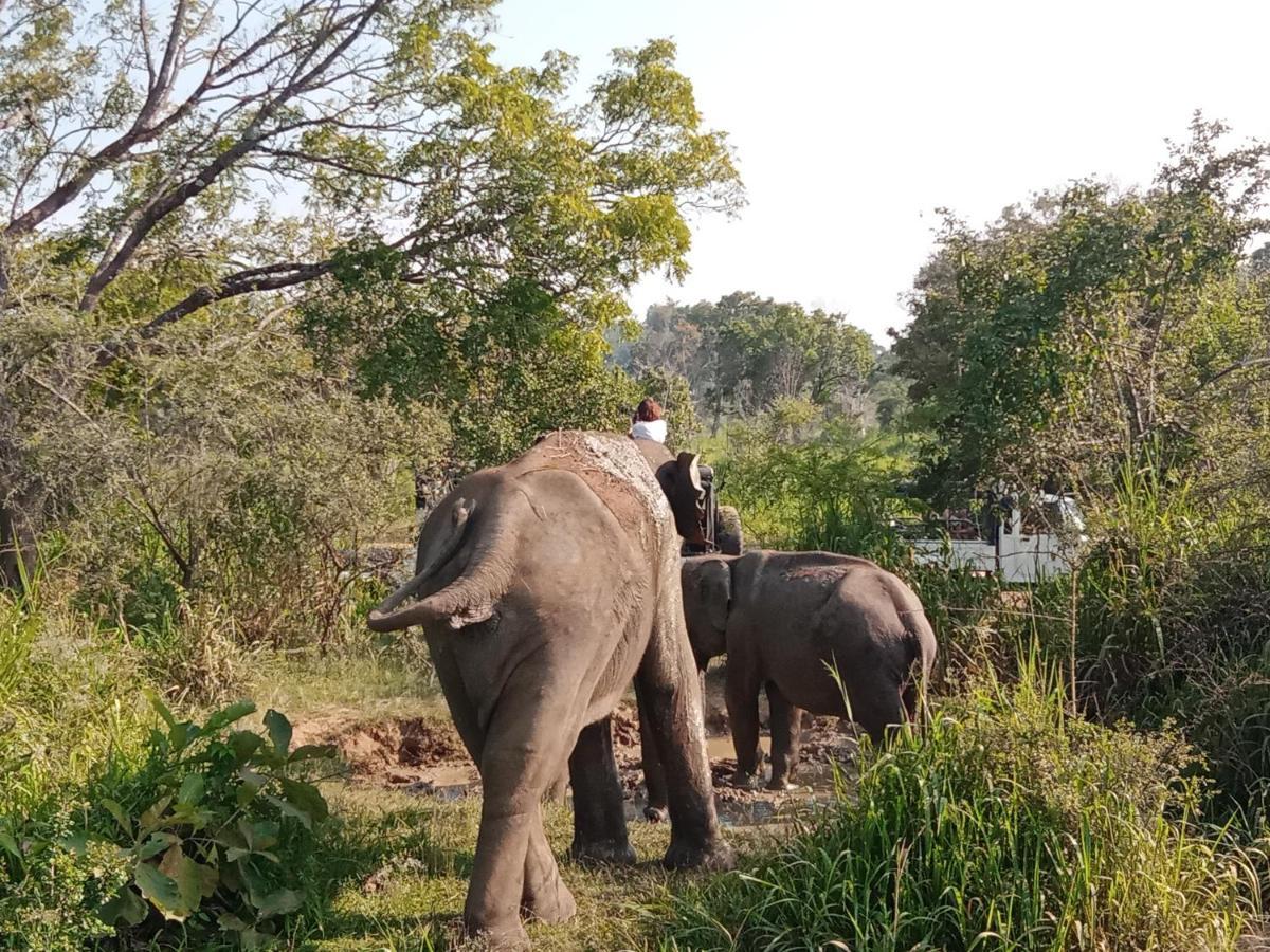 Sigiri Sandilu Homestay Sigiriya Bagian luar foto