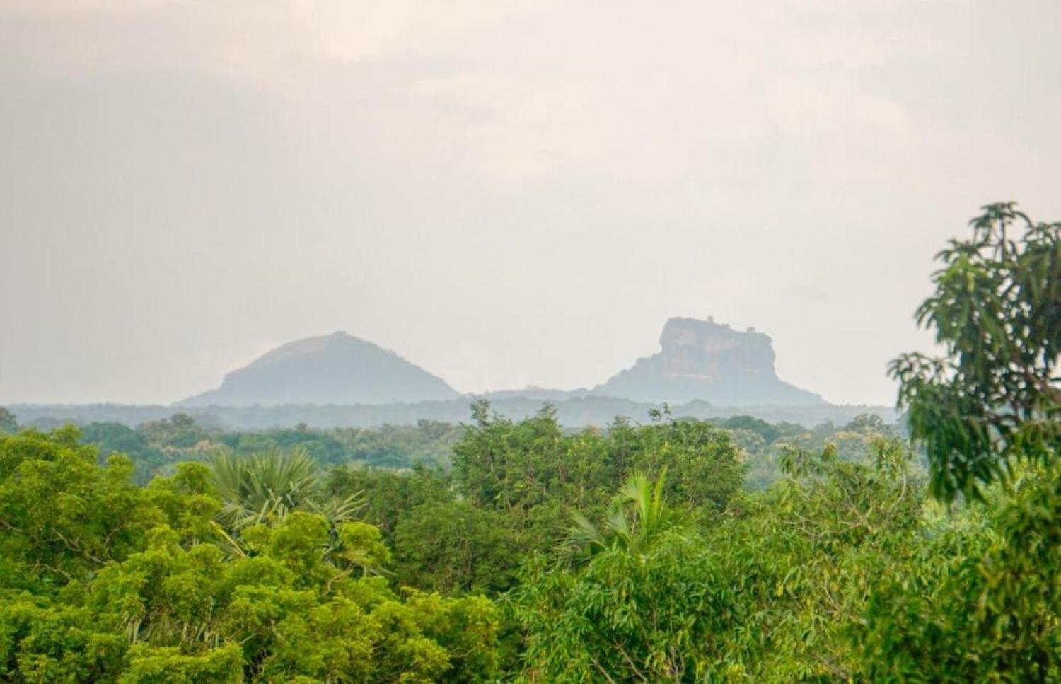 Sigiri Sandilu Homestay Sigiriya Bagian luar foto