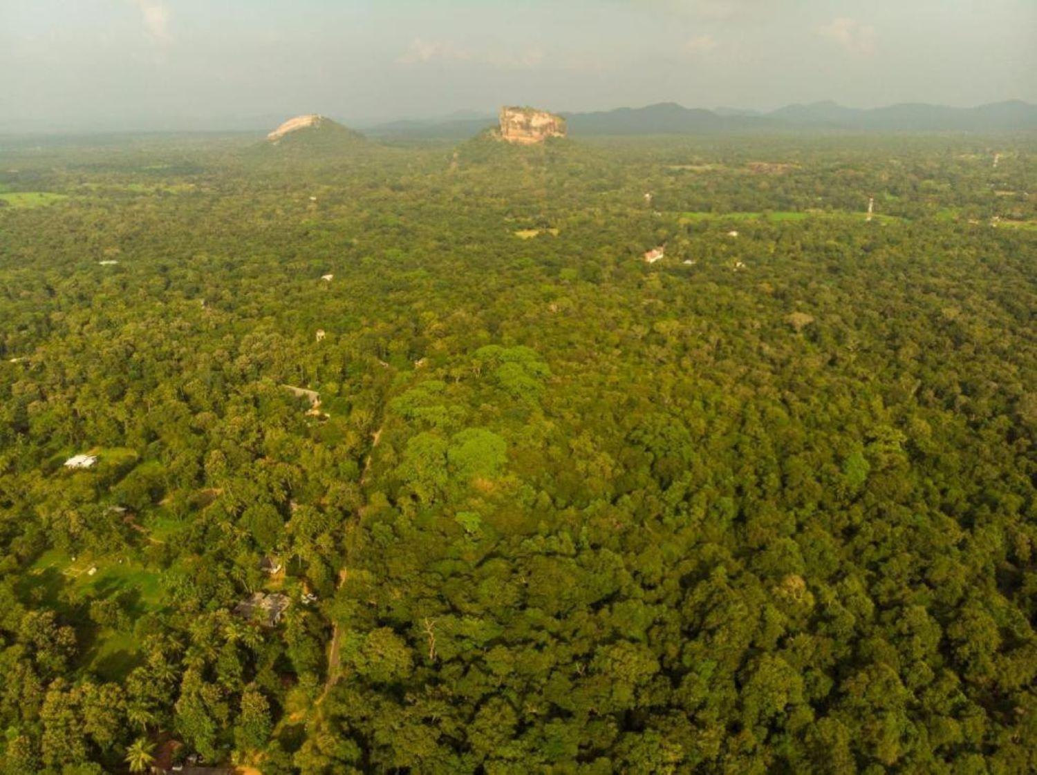 Sigiri Sandilu Homestay Sigiriya Bagian luar foto