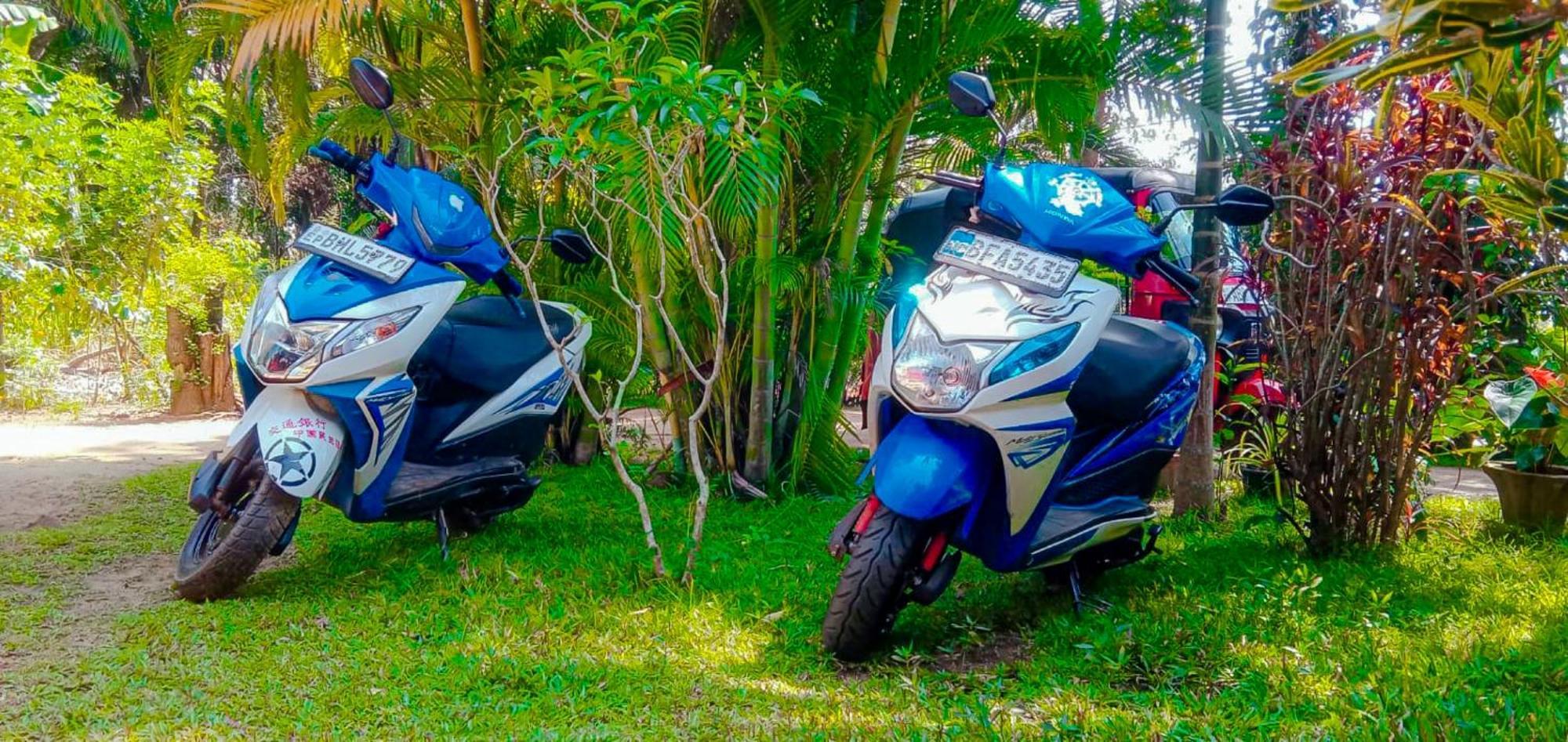 Sigiri Sandilu Homestay Sigiriya Bagian luar foto